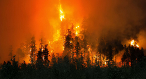 Incendi Francia-Spagna: 285mila evacuati o confinati, un morto